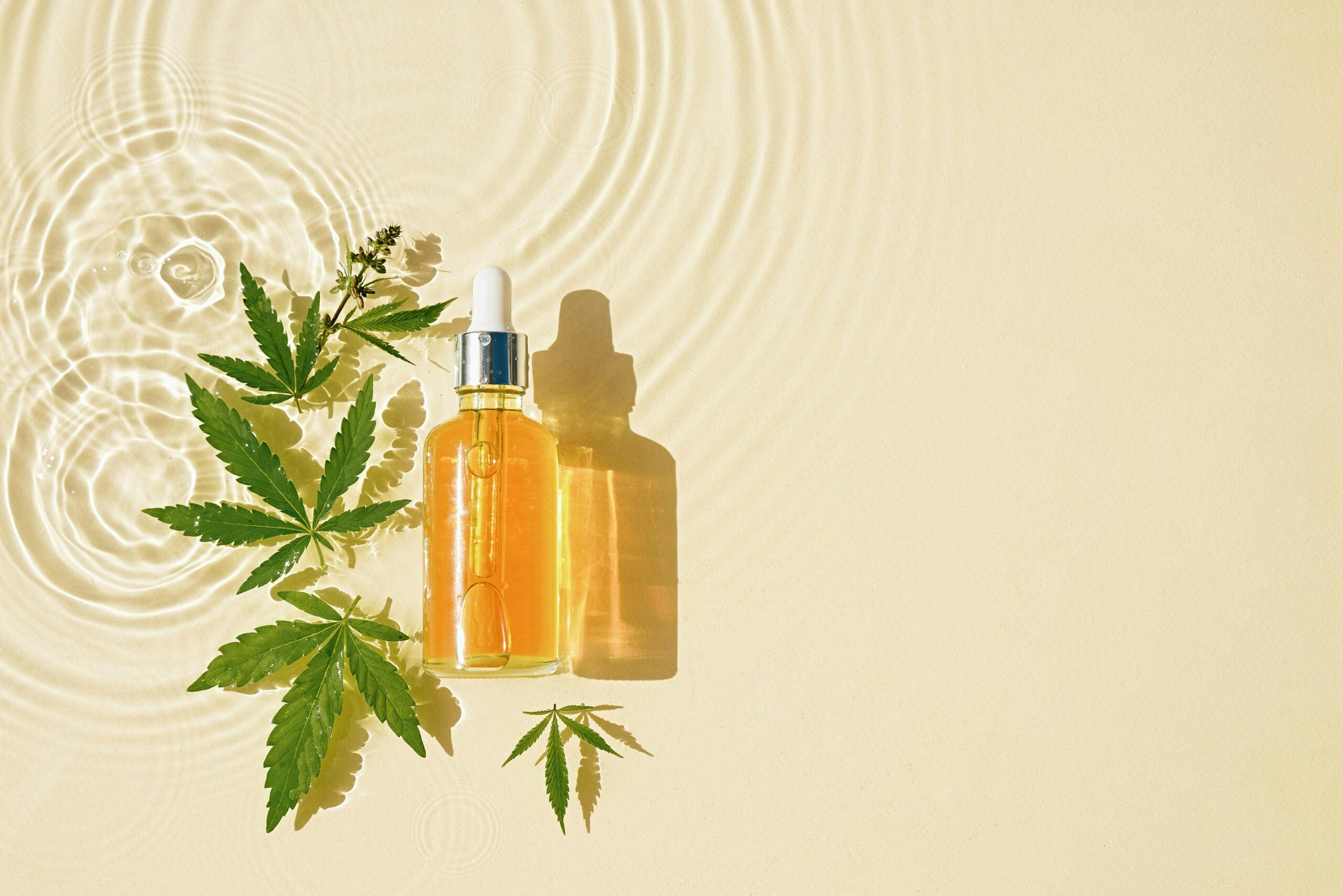 CBD oil in bottle with dropper, cannabis leaves on transparent oily background with drops and ripples Flat lay Cosmetics Concept and products with cannabinoid, CBD oil, tincture