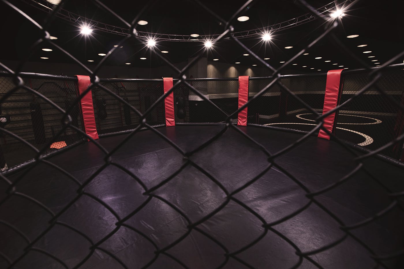 picture of a mma ring