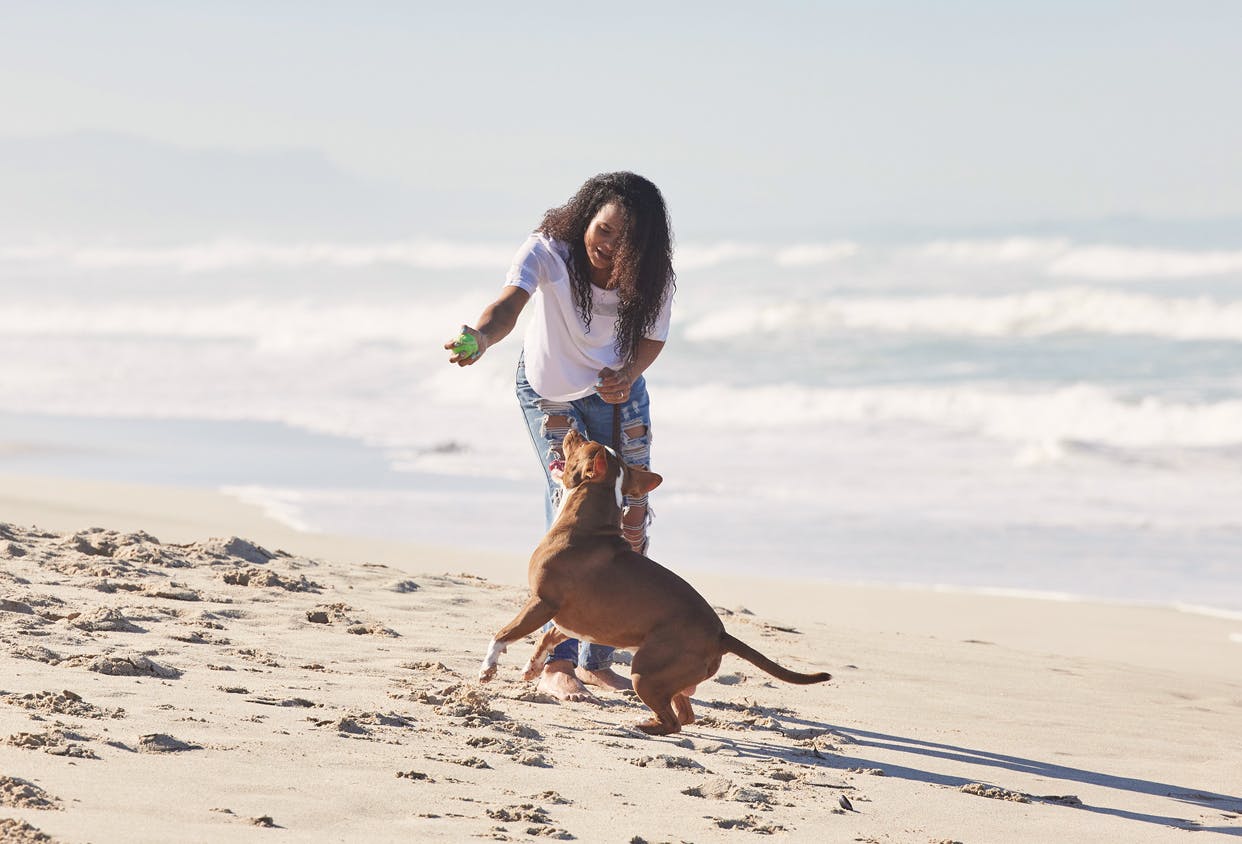 Shot of a woman playing with her pit bull at the beach