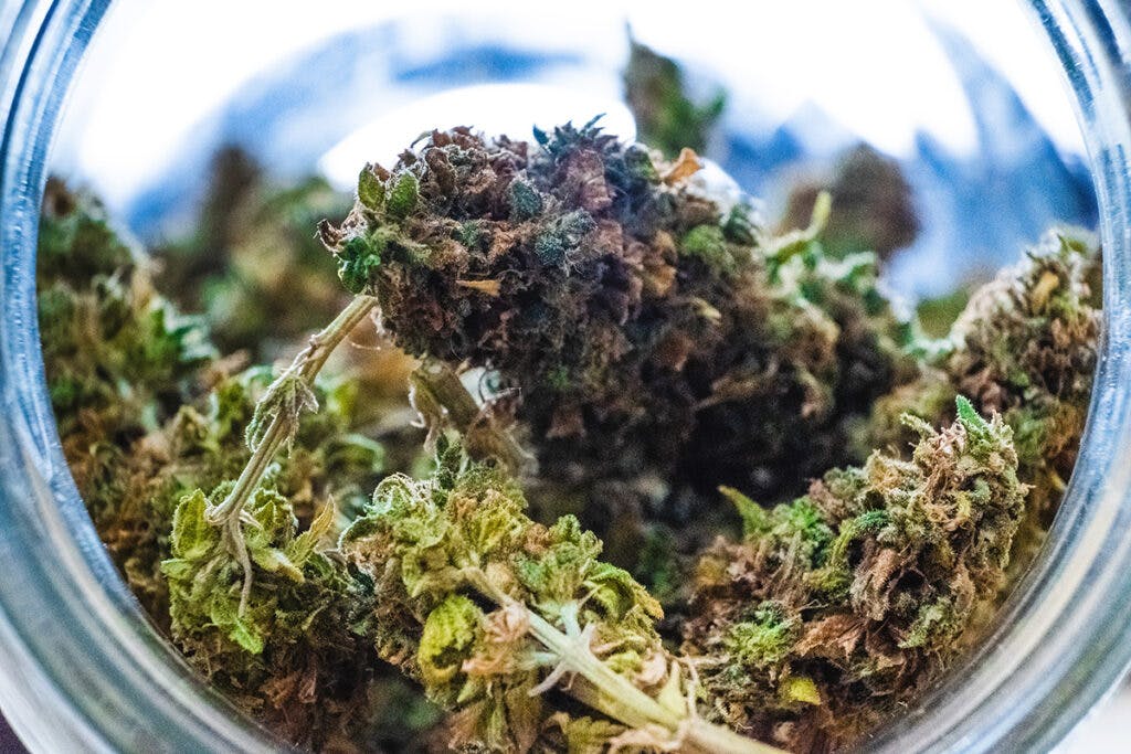 Cannabis inside of a mason jar.
