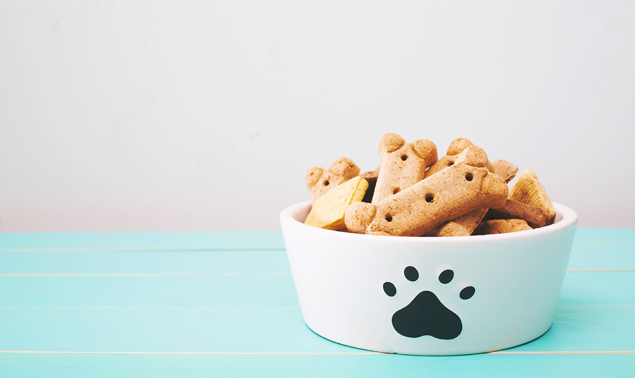 Dog treats in a bowl on wooden table