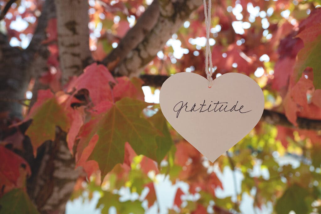 Heart that says Gratitude, hanging in a tree with fall, autumn c