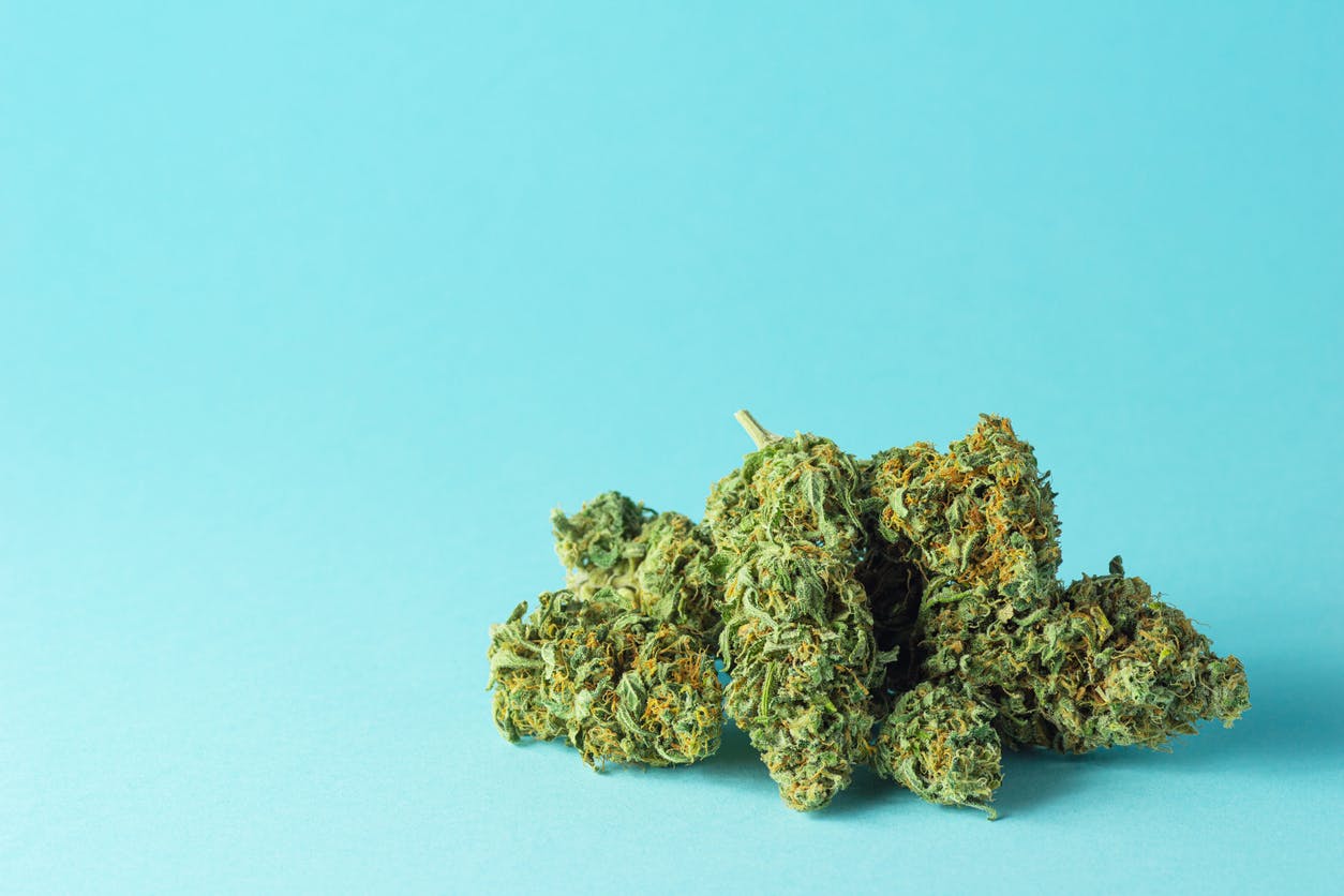 A pile of medical marijuana buds or CBD hemp flowers on a minimalist cyan or aqua background with copy space.