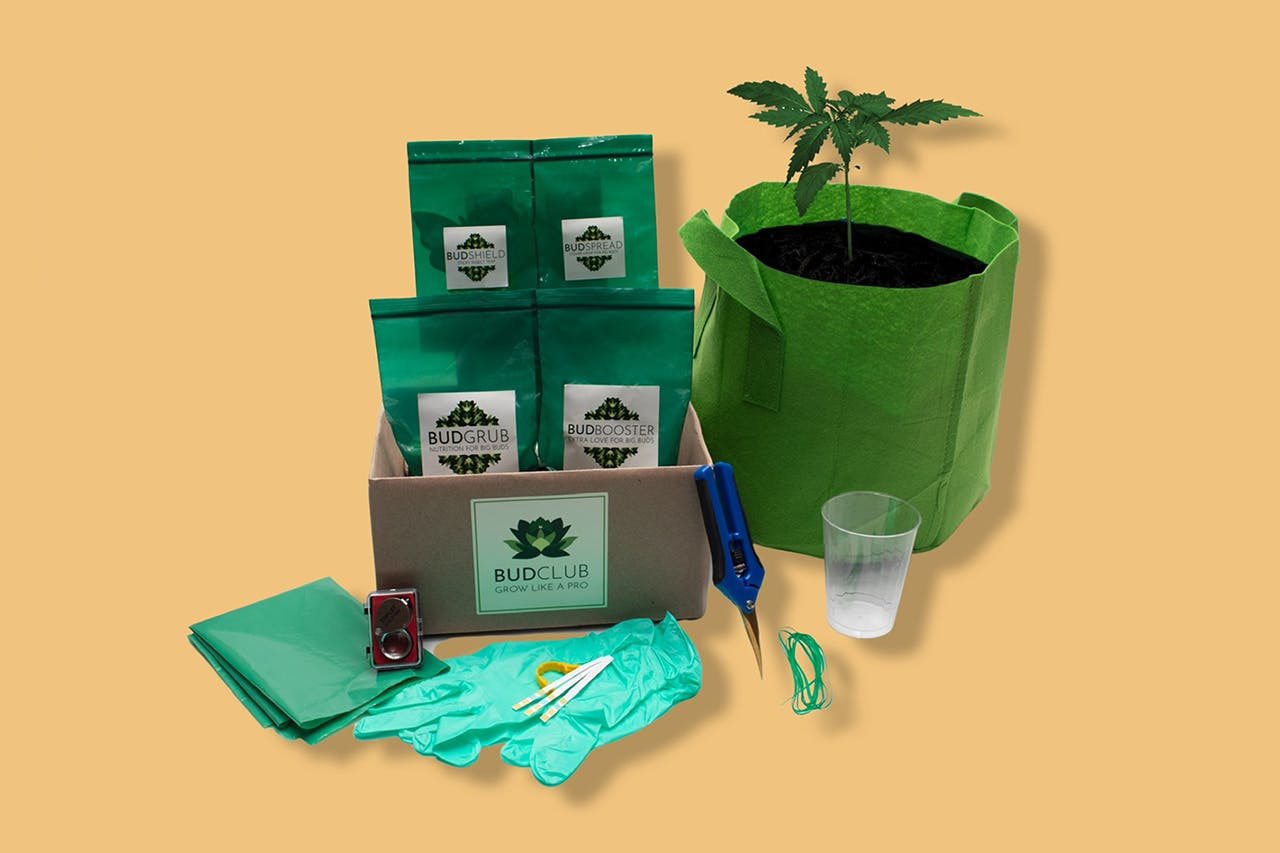 BudClub DIY 5 Gallon DIY Home Grow Kit for home grow cannabis