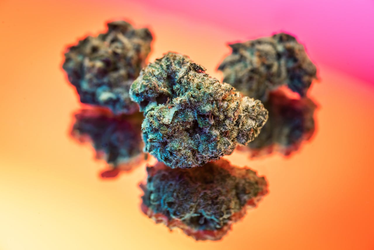 close up shot of cannabis nuts with orange and pink ombre background