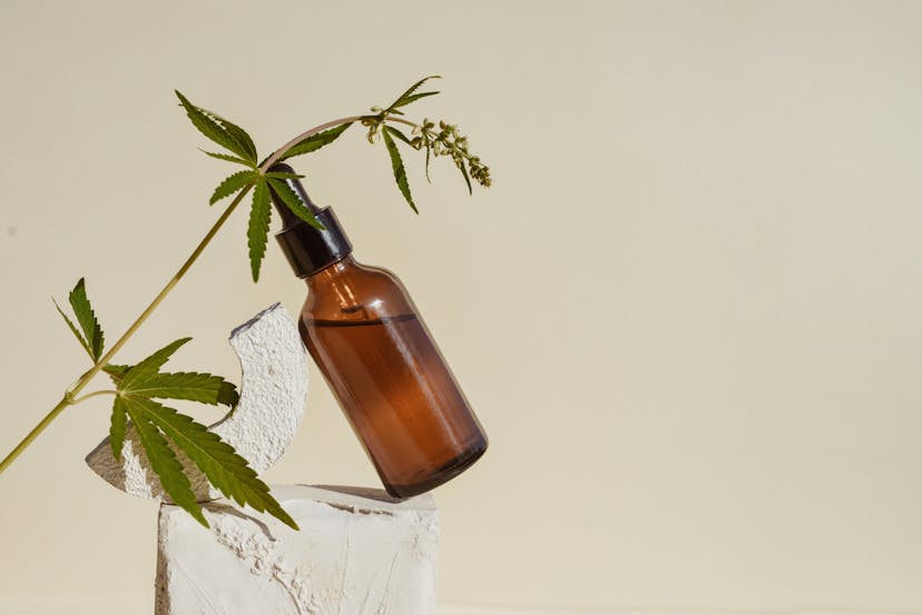 global CBD market projections shown by CBD oil in brown bottle with dropper and cannabis branch, hemp on podium Beige background Concept of cosmetics and products with cannabinoid, CBD oil, tincture Modern still life, minimalism in light shades with shadows Copy space