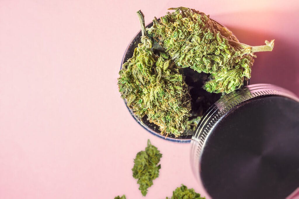 Medical Marijuana buds and grinder on isolated on pink, Medical Cannabis concept