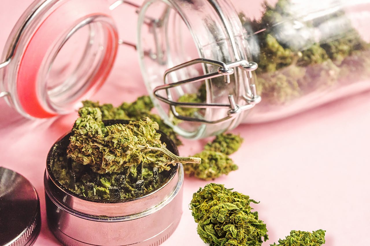 Medical Marijuana buds and grinder on isolated on pink, Medical Cannabis concept