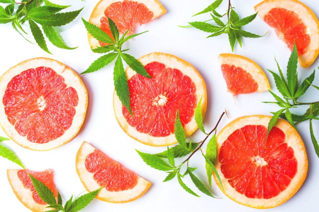 Grapefruit slices and marijuana leaves on white