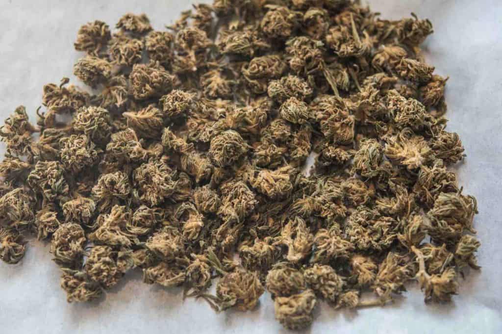 The 3 Best Ways to Decarb Your Weed Decarboxylation 101 High There!