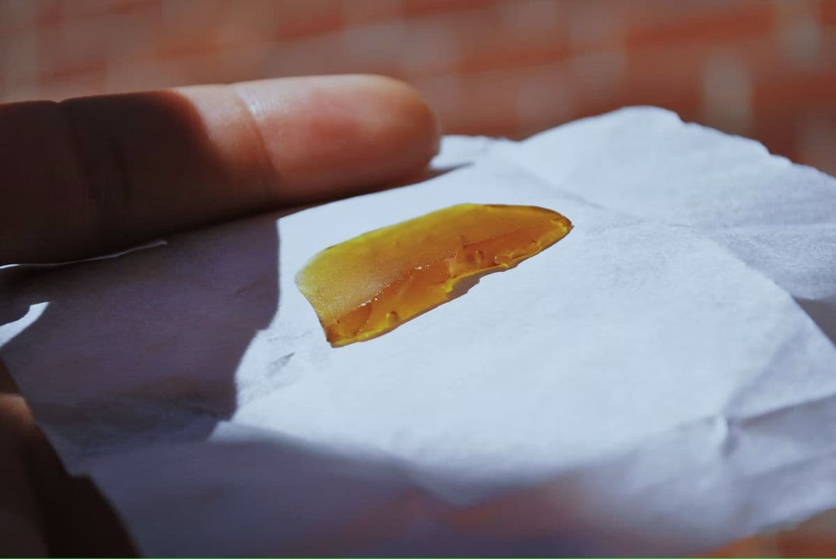 What Is Hash Rosin? Our Introductory Guide | High There